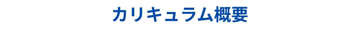 カリキュラム概要